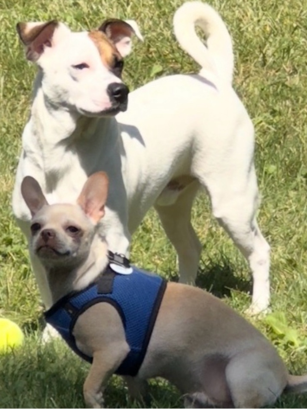 Trade for @beoverstock